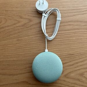 Google nest home mini